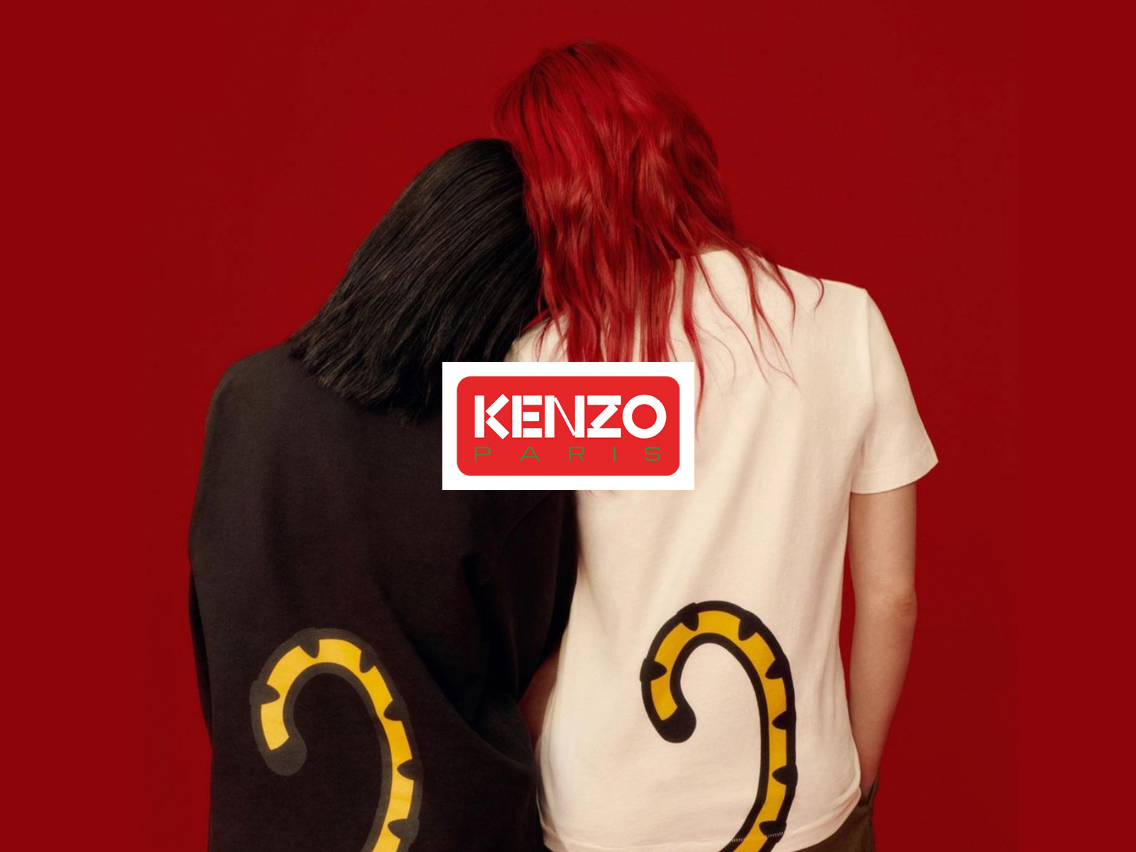 kENZO-1